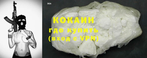 твердый Ладушкин
