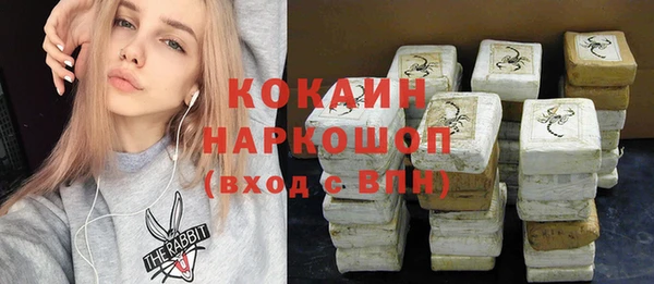 твердый Ладушкин