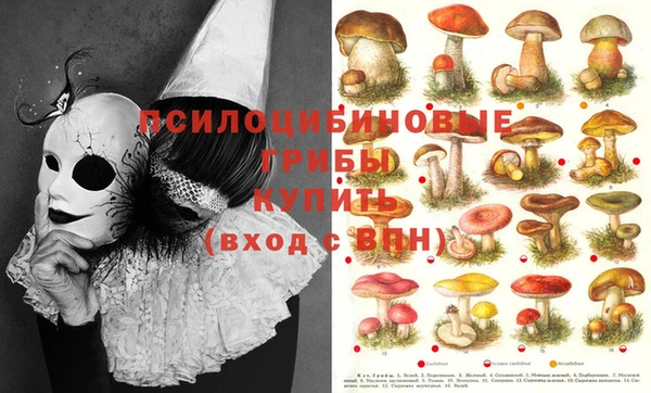 МДПВ Лабытнанги