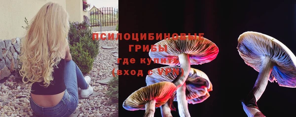твердый Ладушкин
