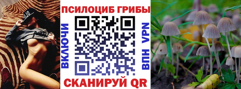 Купить  Арамиль  Псилоцибиновые грибы Psilocybe 